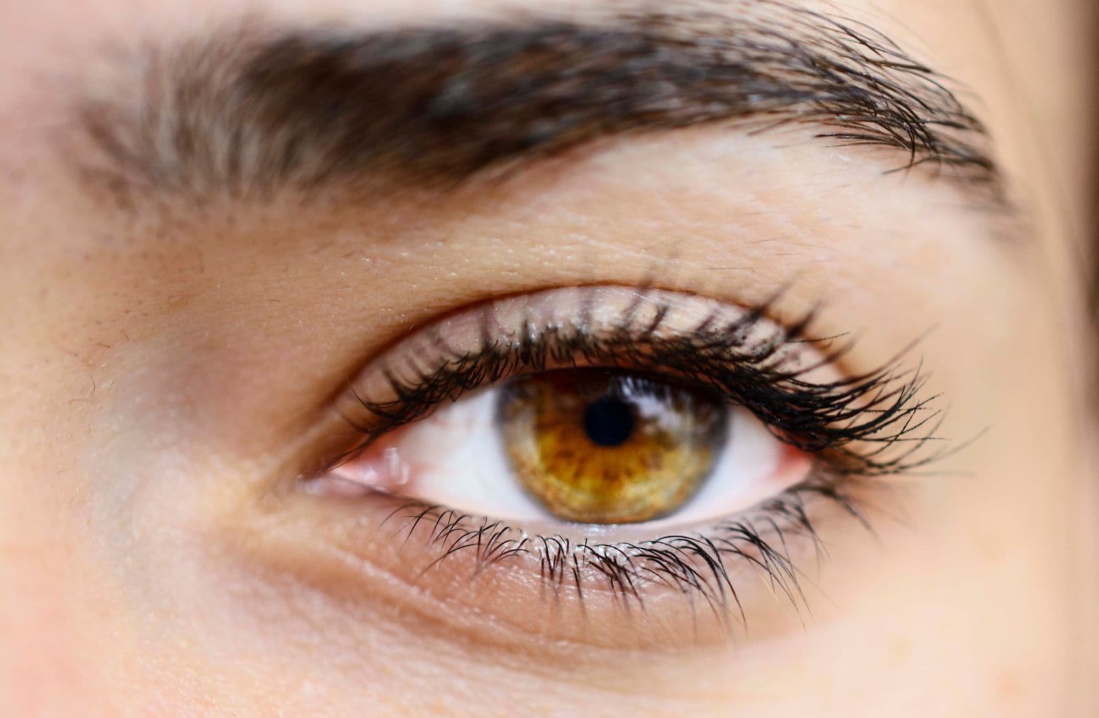 Close-up of an eye with full, defined lashes after a lash treatment